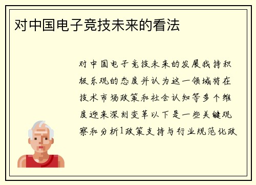 对中国电子竞技未来的看法